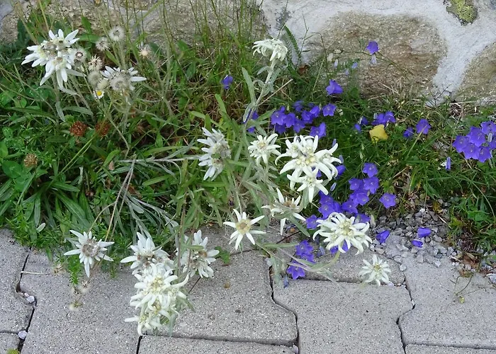 Traudl Singer Appartement